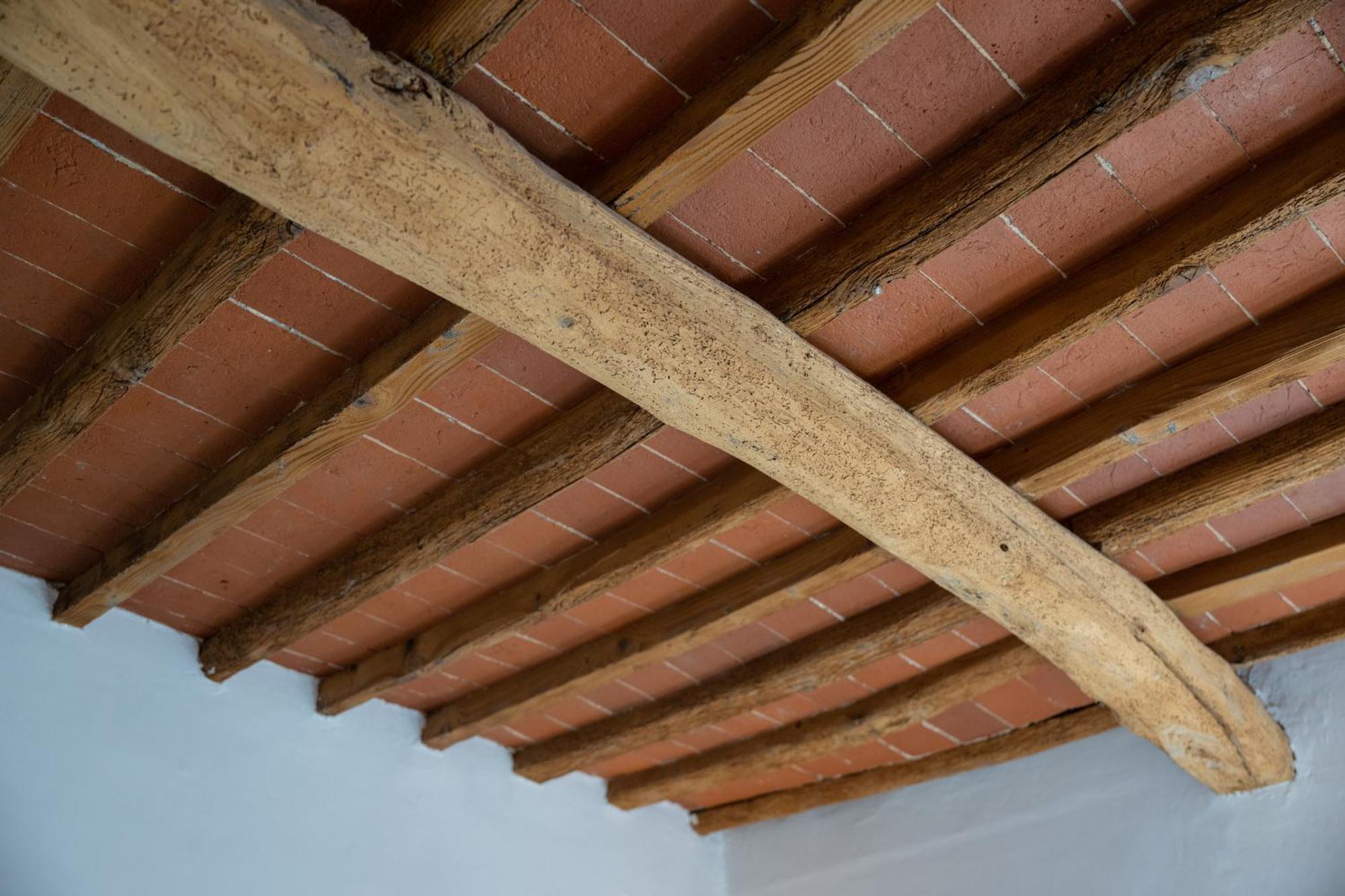 Apartamento Tipica Cozy House + Parking! Florencia